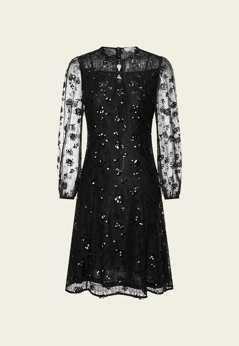 Lace Sequin Embellished Party Dress