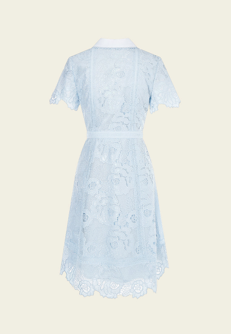 Light Blue Lace Collar Dress
