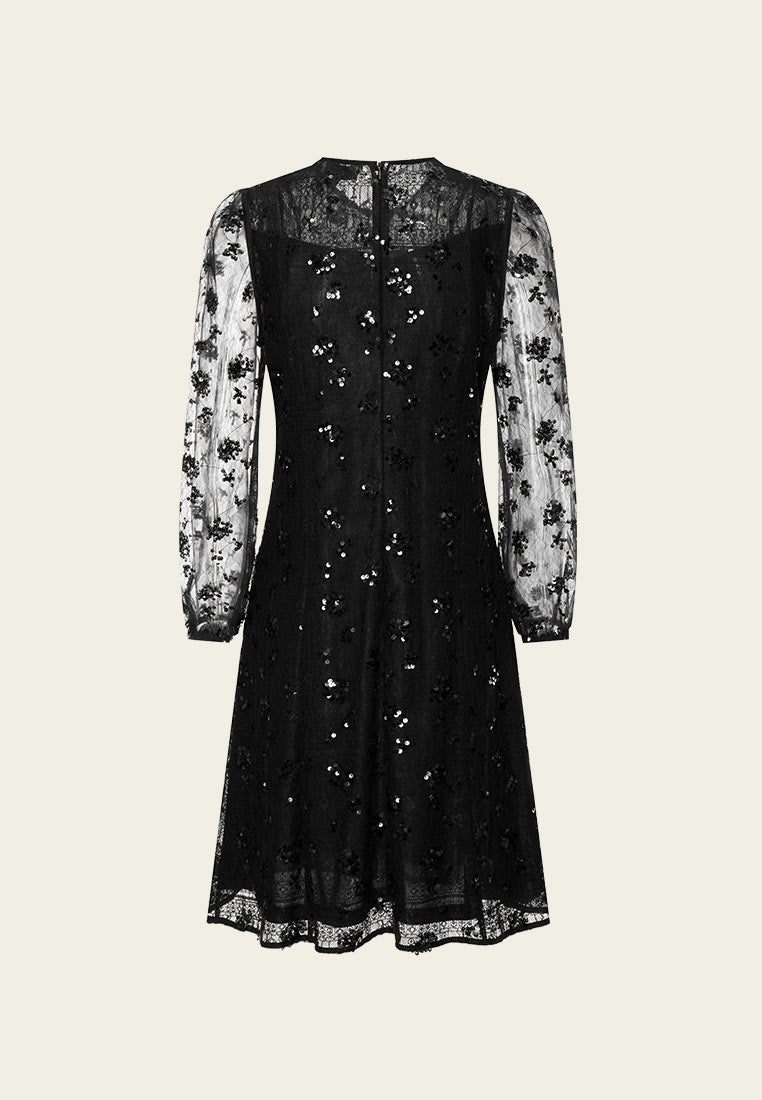 Lace Sequin Embellished Party Dress