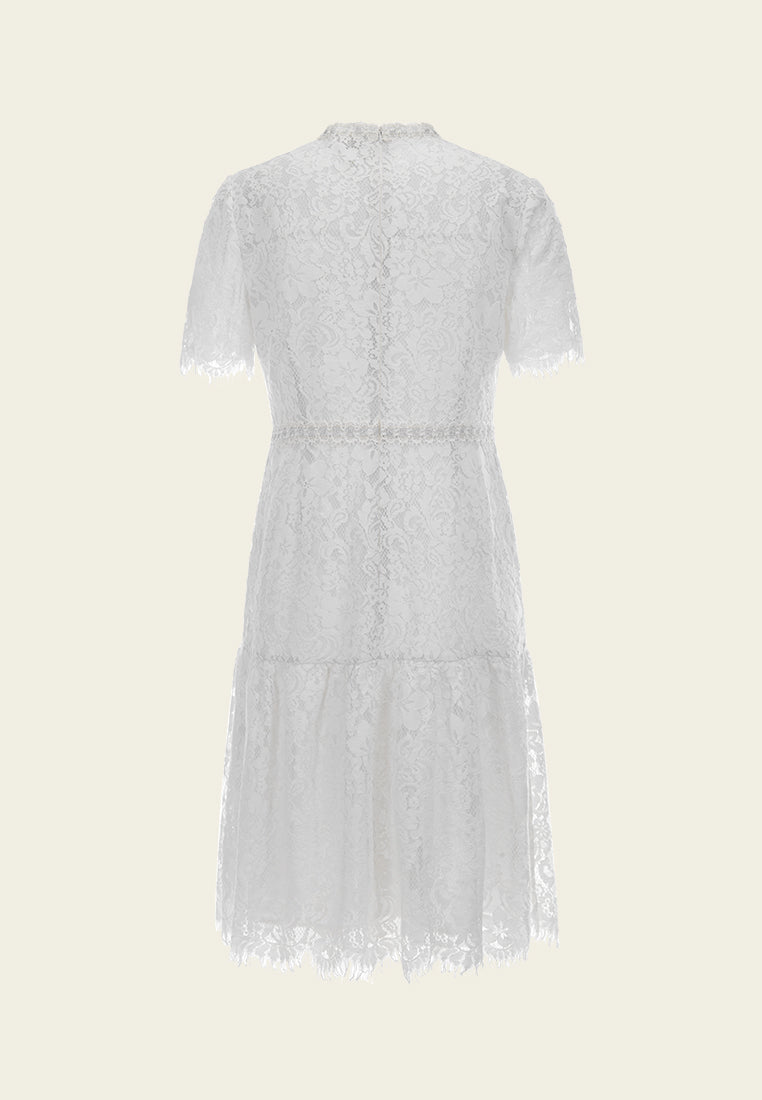 Stand-collar Luerx-trim Frayed-detail Lace Dress