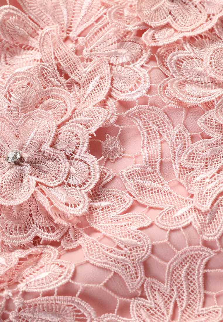 Pink Embellished Floral Lace Evening Dress